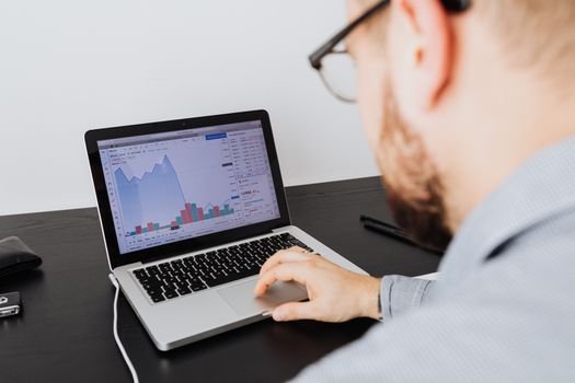 Close up of a financial spreadsheet with charts on a laptop screen