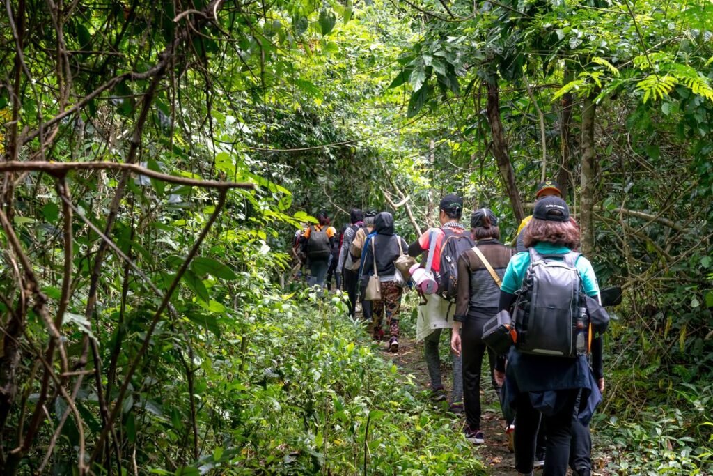 Group of friends hiking together along a green forest trail