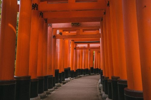 Vermilion torii gates lining the path at Fushimi Inari shrine in Kyoto